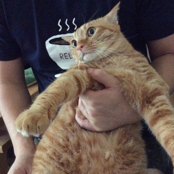 1349d758 196a 42d8 8d96 ec1e8bb42dea