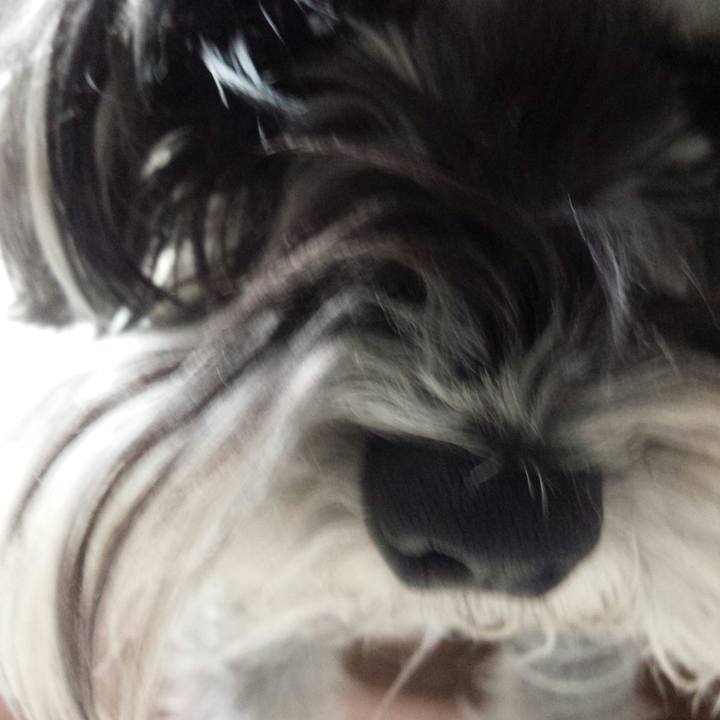 134a3b5d 4e43 44a9 922d 14b84c9580ba