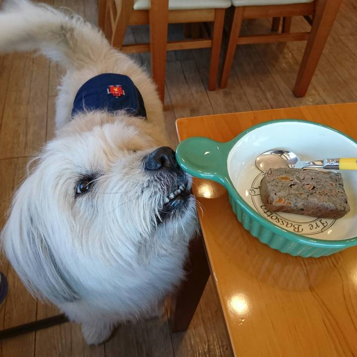 134a873b 6263 485d bf13 e56c35fef7d2