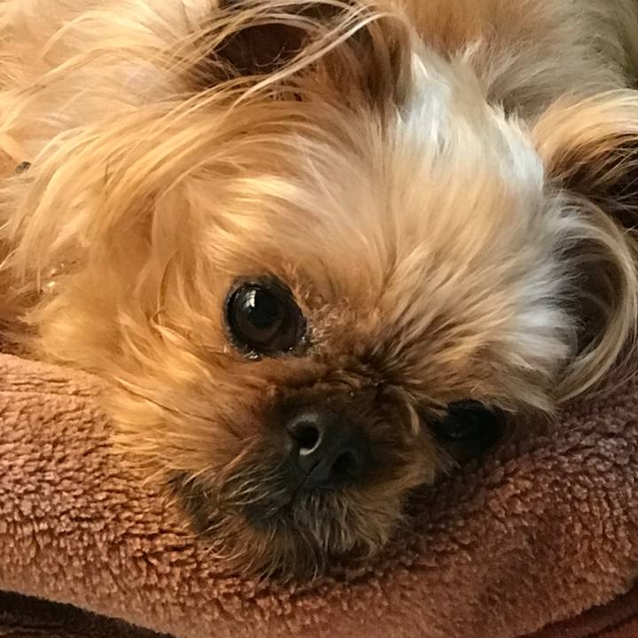 134a8f6c bf91 45ca 9bbb cefef0f18218