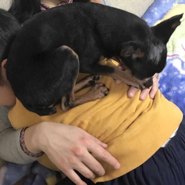 134a9ea9 c1a1 44b3 ac84 38a814f56c4c