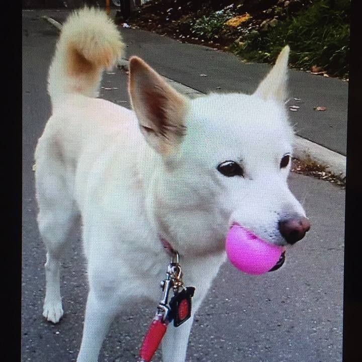 134ba2fc 6dae 4c66 b2f0 fe385fd3114e