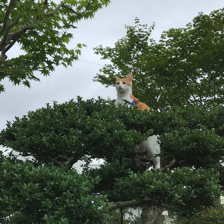 134ba3a7 d34c 470b 8030 2762f3af03d9