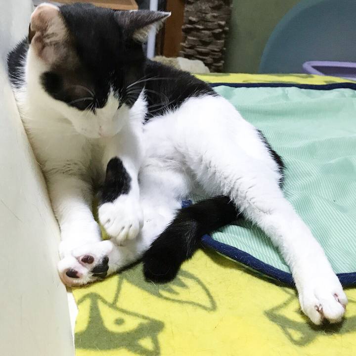 134bd642 c922 4c1e 973c 6ff18743ec8e