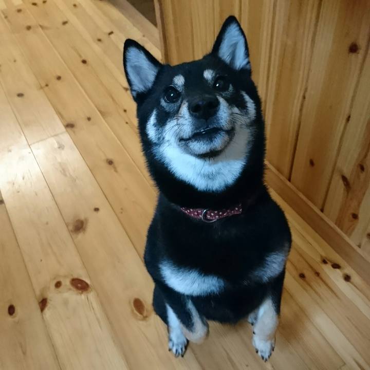 134bda4f 10eb 40c1 93f9 26f9e3c7df65