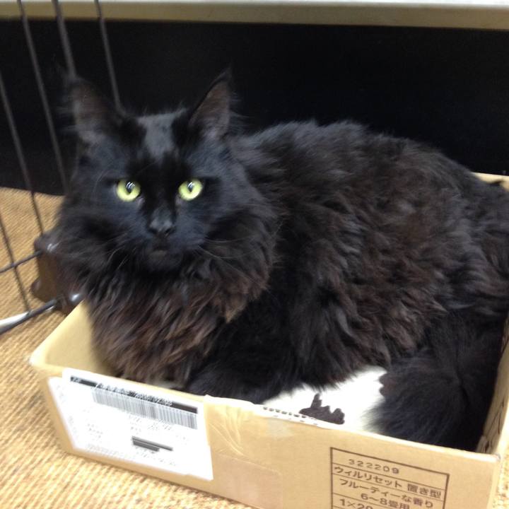 134c5402 c0ef 4de0 95e0 4e54d5b43a49