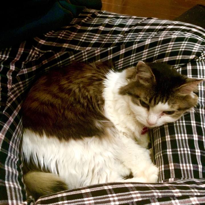 134d9ee7 1e47 4969 a4ed 5bcc556ba44e