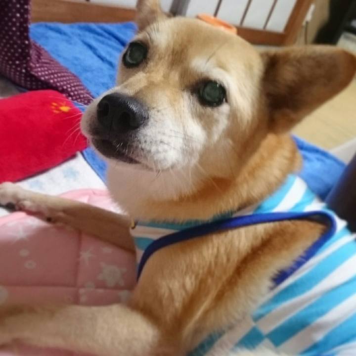 134dfc96 521d 4606 bb20 50efe3a9b785