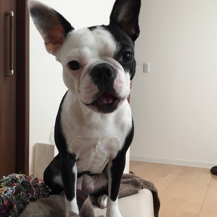 134e2731 3b8b 42e9 bbb5 7904cba38d90