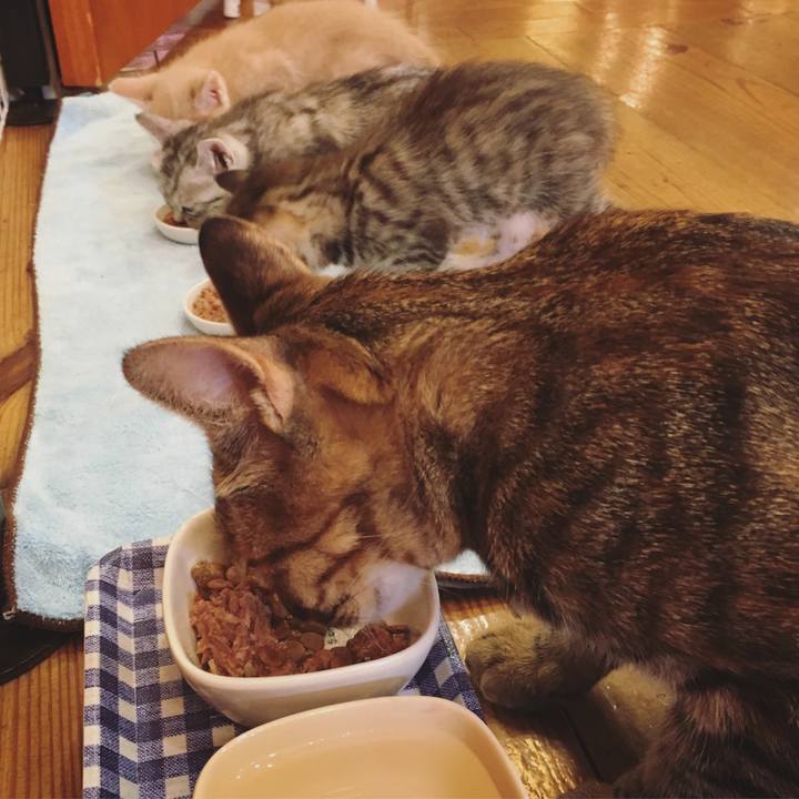 134e3d9f ad59 45fc b25b 69468beb734c