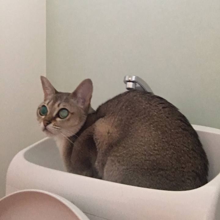 134e5201 1ab0 49c1 9c42 c05f4cbeb707