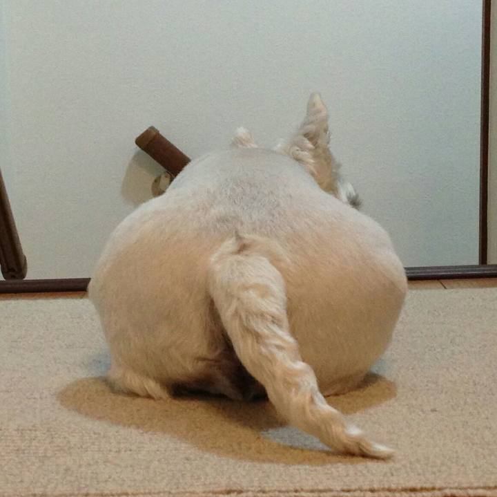 134ead38 8ed8 4528 9b18 b4c845395ff0