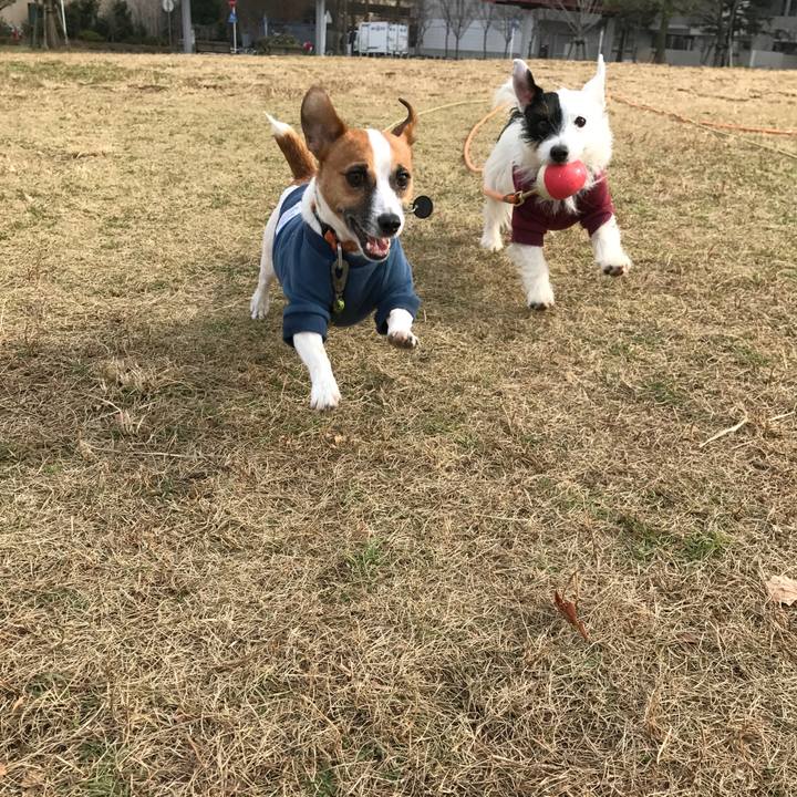 134ee0a4 4363 4bb0 9d27 85d0a42d698e