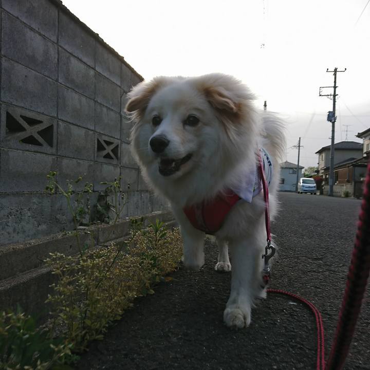 134f6c10 3036 4f68 adf3 fed502f11635