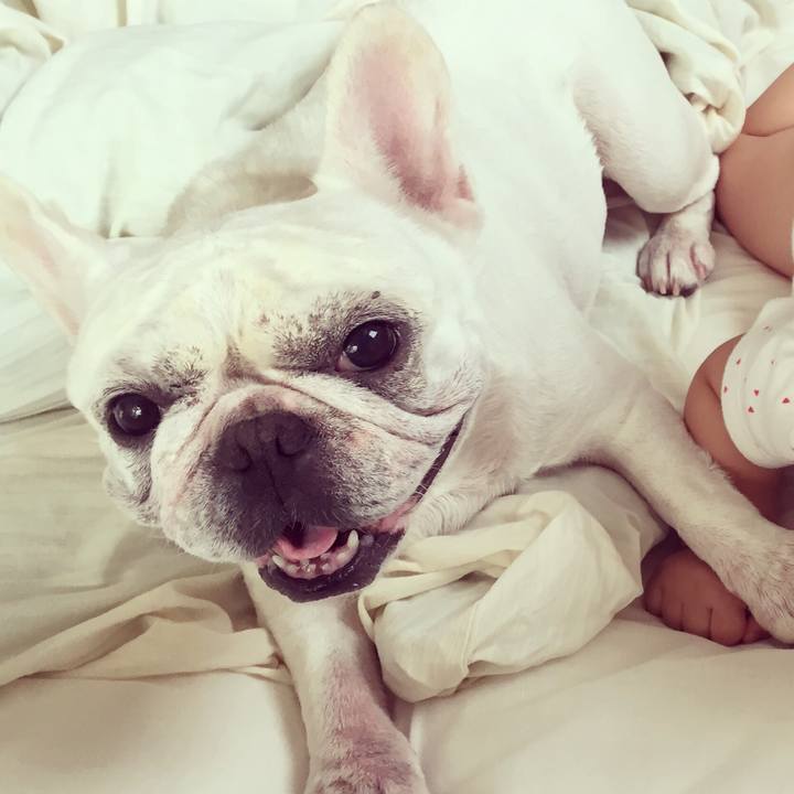 134f875f 4232 40b4 9b5e 8798953e08e4