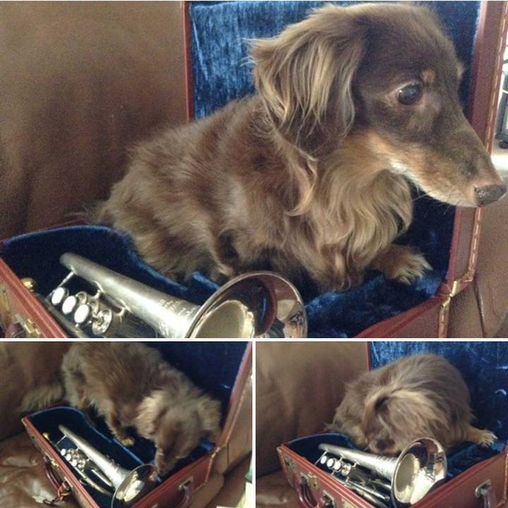 1350f95c 4cd0 42a8 b484 3d0ed42874b8