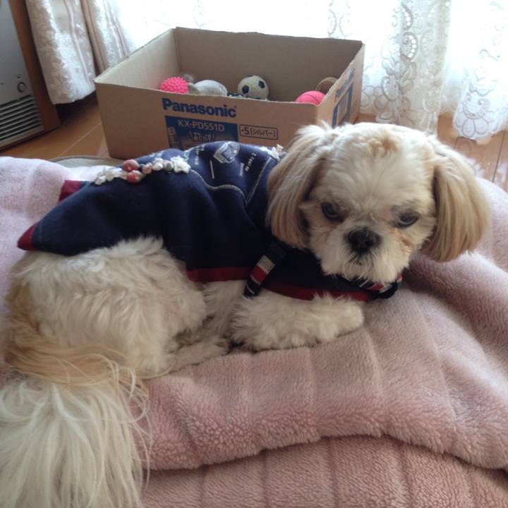 1351e2cb 869c 4f68 b1fd 0795407017dc