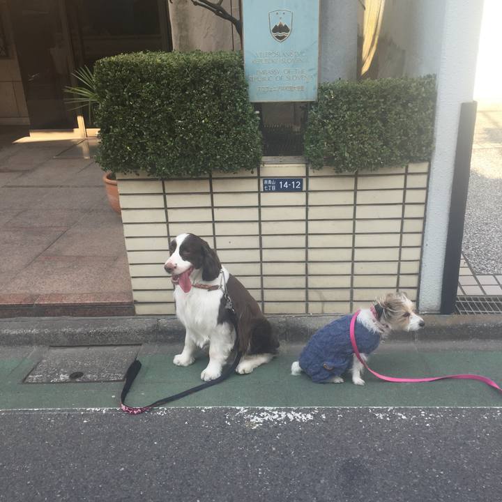 1351e884 5167 4d22 b652 8c3b29c6931e