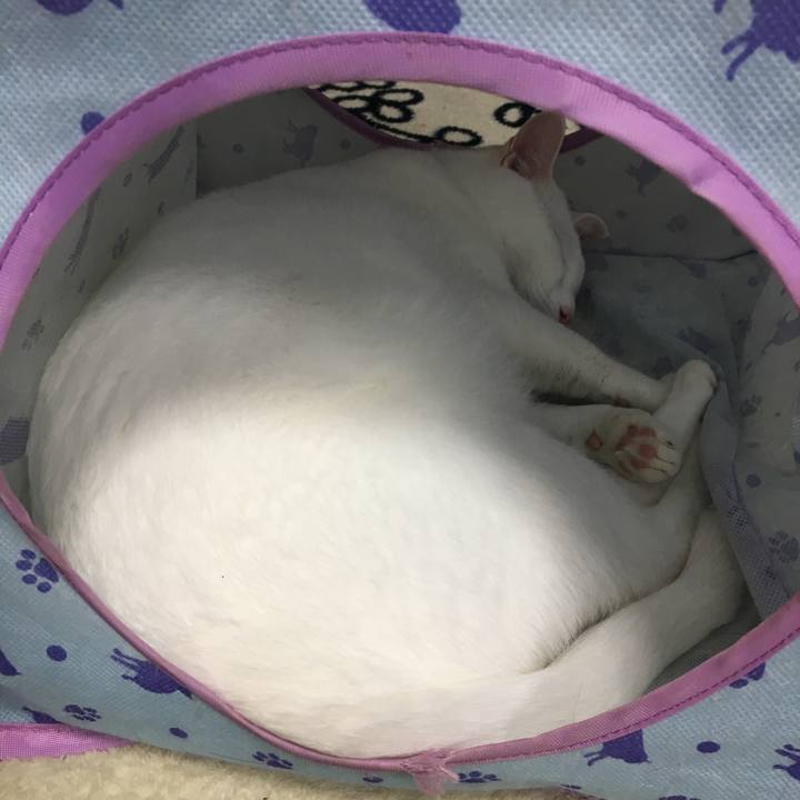 1351fd40 5b30 47ed 9d25 512826d038e7