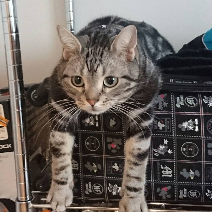 1352ae0f db9d 4c0d 9324 96cbbbde94e6