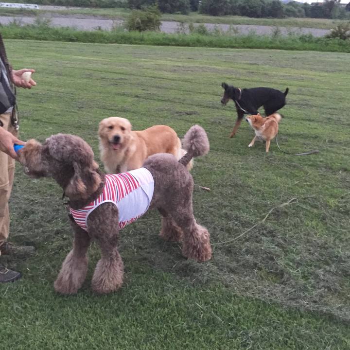 1353a49e d7c6 4392 8ccf 811c214fa396