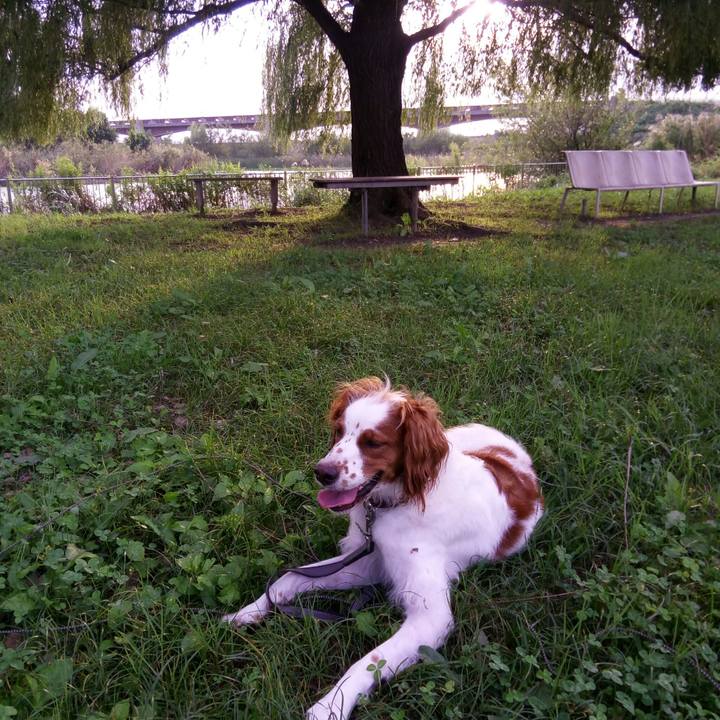 1353c35e b20f 4635 a4a6 cc17cd68259c