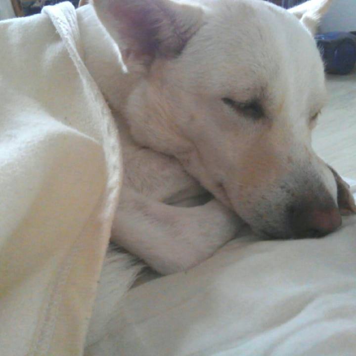 1353e647 754c 4ebe 922d 6ad9286b68a7