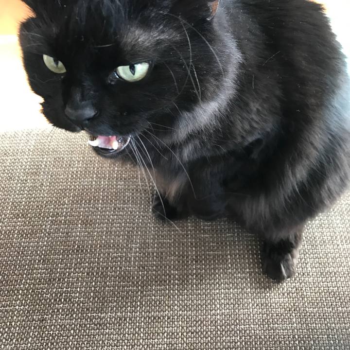 135477bb 145e 433d a88b 4108c55884ad