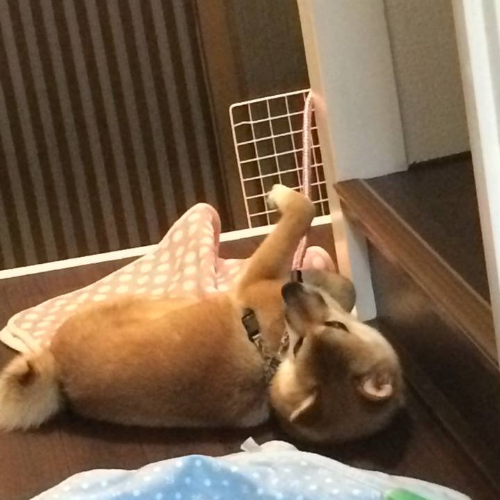 13549f93 f666 473e 93e4 5aee4dd42d68