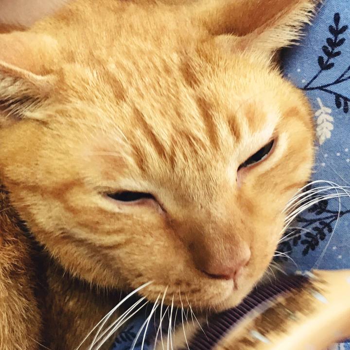 1355091c 7197 470e 9431 a923abd201f6