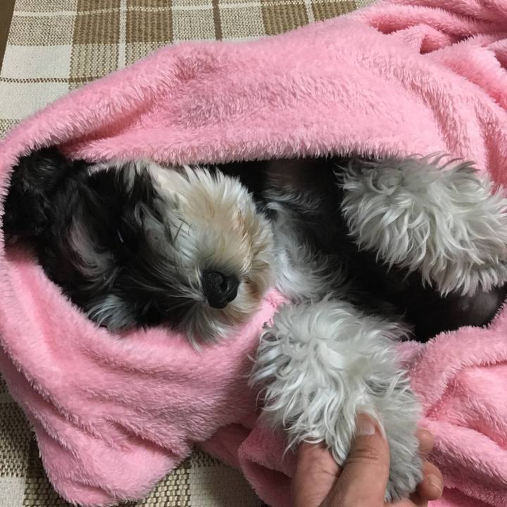 135645b4 6e36 44df 9baa 4a4fc8387db5