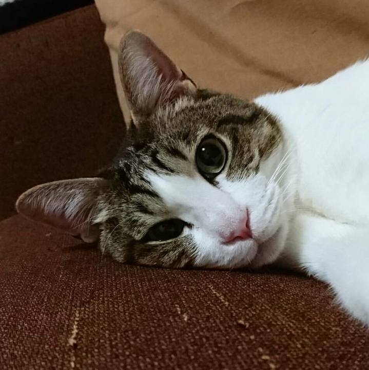 1356c143 15d7 412a a5a4 4b6ffcb0667a