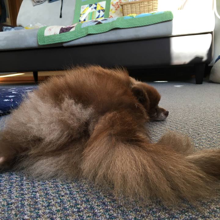 13575254 baa9 4ce1 ba21 9cdd8151fe1b