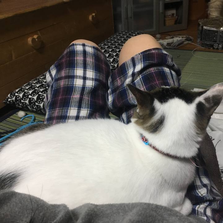 13578c5c 1d30 469e b7cb 24a17ddd4b62