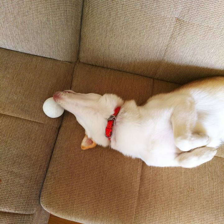 13583c6f f132 44de 8301 3d3ace9d3072