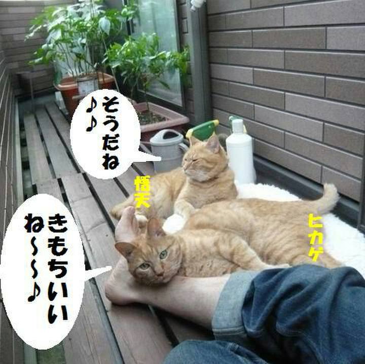 13587bc9 0fe2 4b66 89b4 bfcf93a46eff