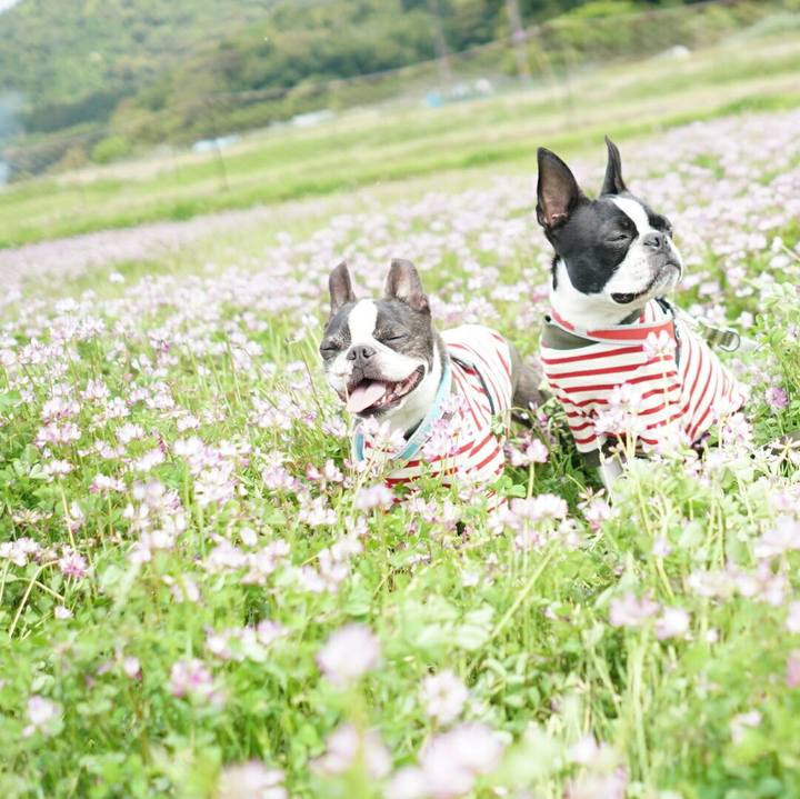 13589b55 a918 4fbe 9a11 1094e34647a4