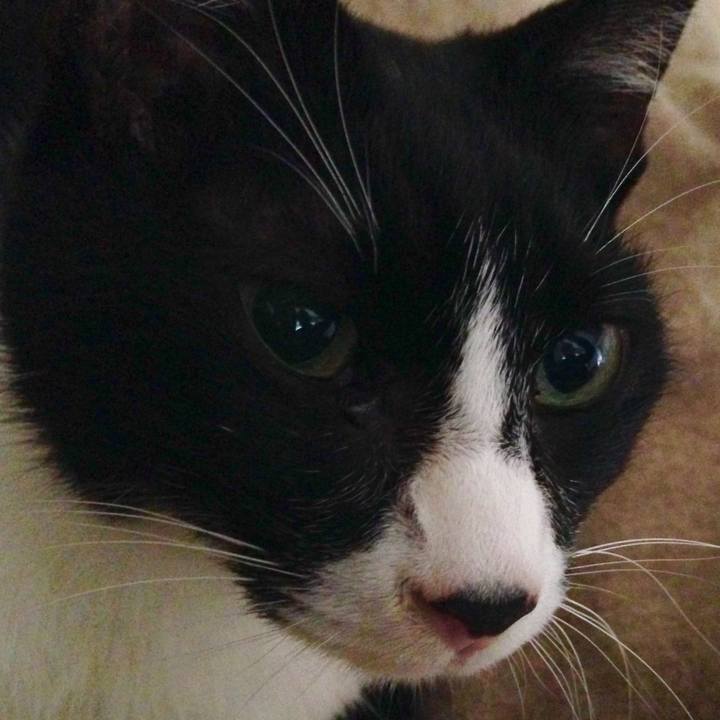 1358a51d fdf4 4503 b4a2 10734a9685be