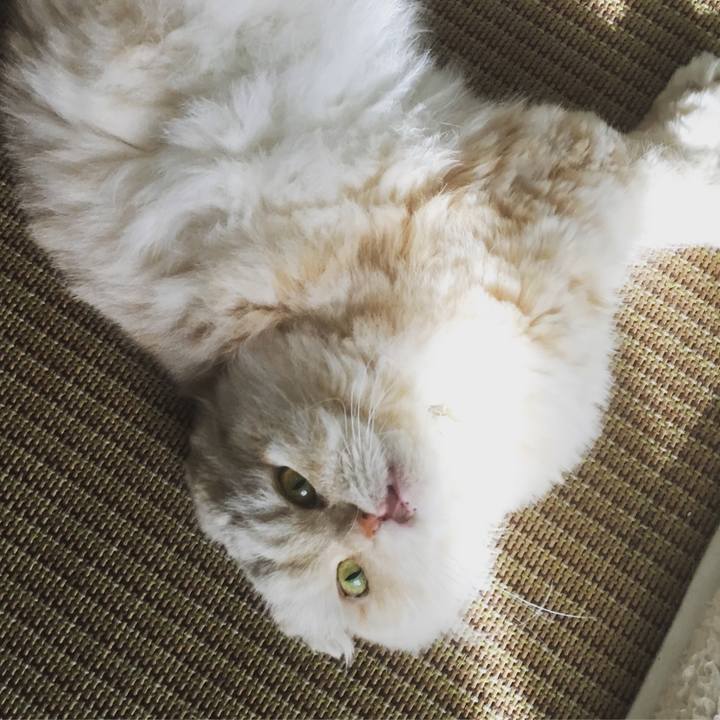 13598959 4c31 49de a91a 6ff615945925