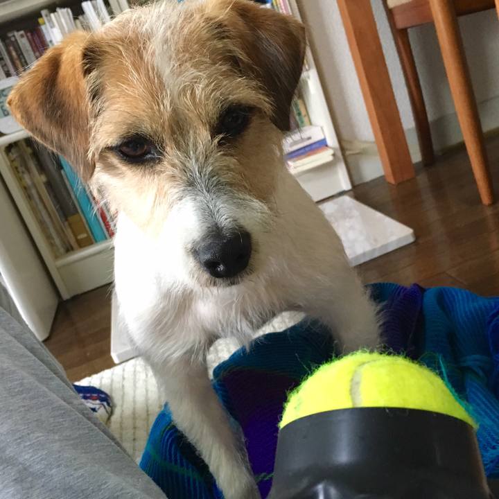 135a1358 26bf 4d4d a265 2b442a56def1