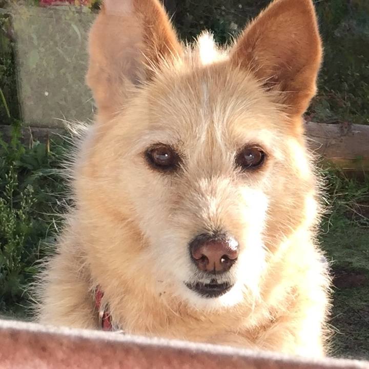 135b592b a5e1 47df bfba 294b2c1b8bd7