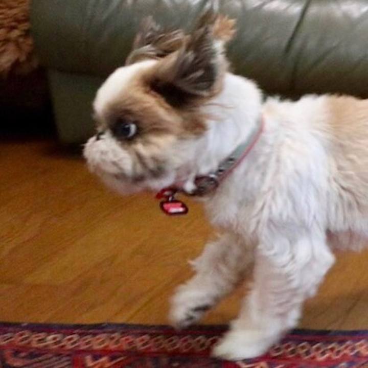 135bac97 a465 44b7 96d6 900cca25f655