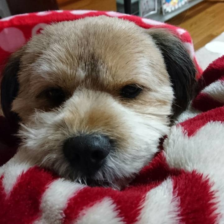 135c7c78 6eb6 478a a49d a12a5f5d068b