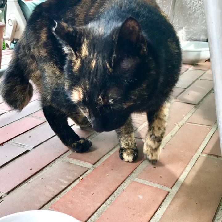 135cd82f 7d7c 4b9a bfee 51fbab7488c2