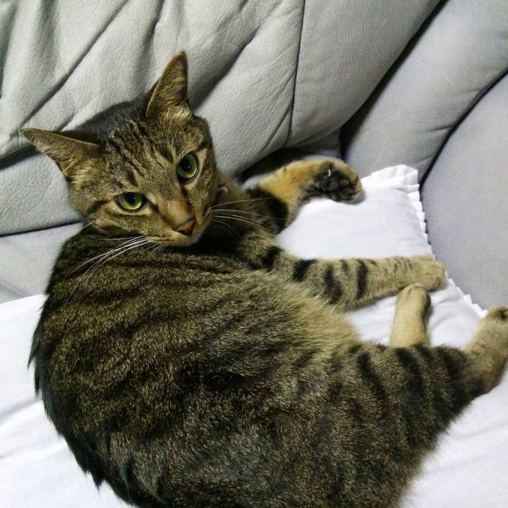 135d8294 e0eb 4e0e 8d4f 8d42bdf1da0c