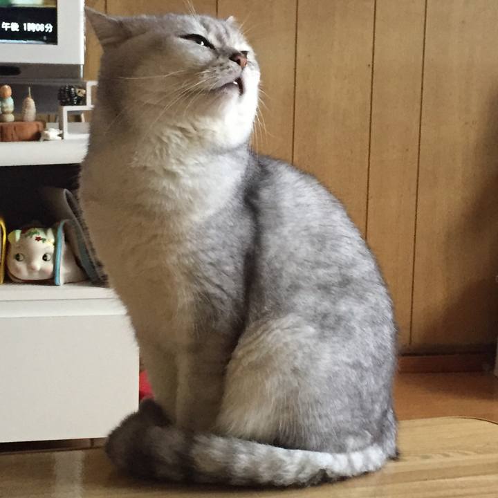 135e1148 4f19 462b bd3d 217901ffcc36