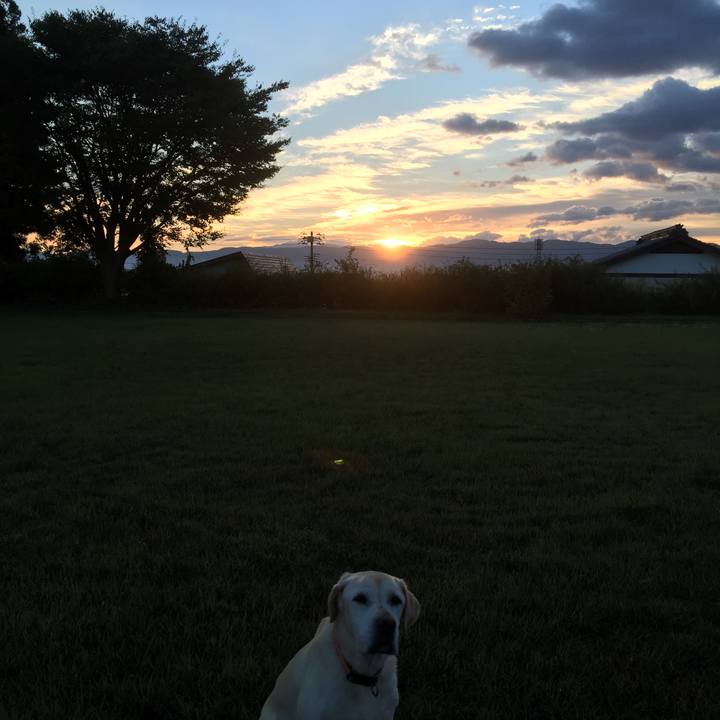 135e12f4 1c08 493f 9a57 1892639d30ae