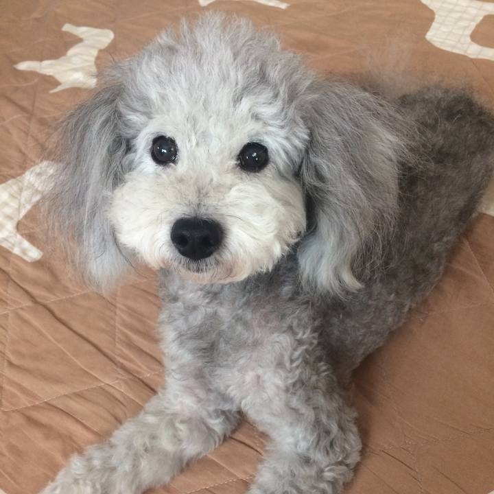 135e5671 8ce6 42f6 842e 3ca966846972