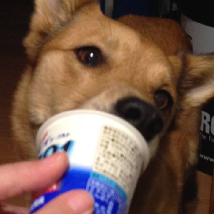 135ee42b 6621 4f52 b081 26cbccac96d6