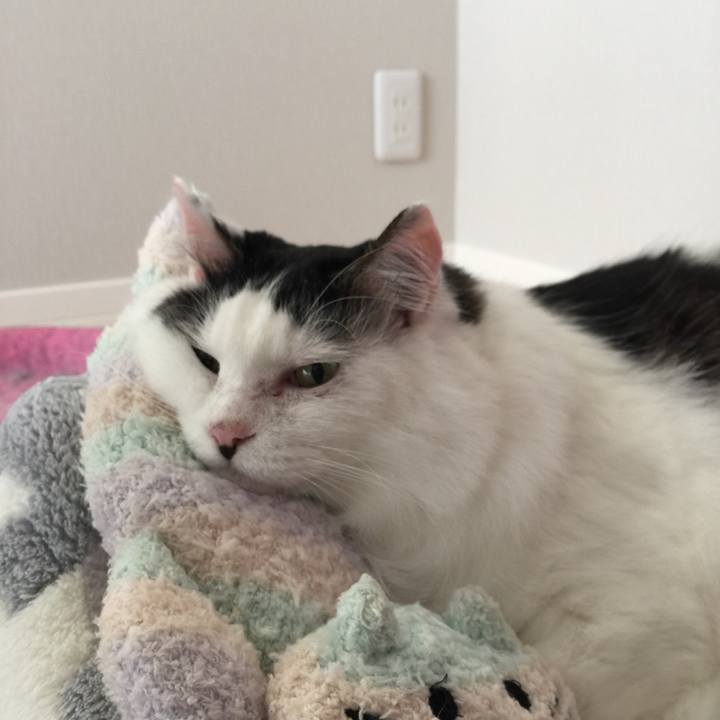 135f9c3b c227 466b 9c1a ac0228b0f721